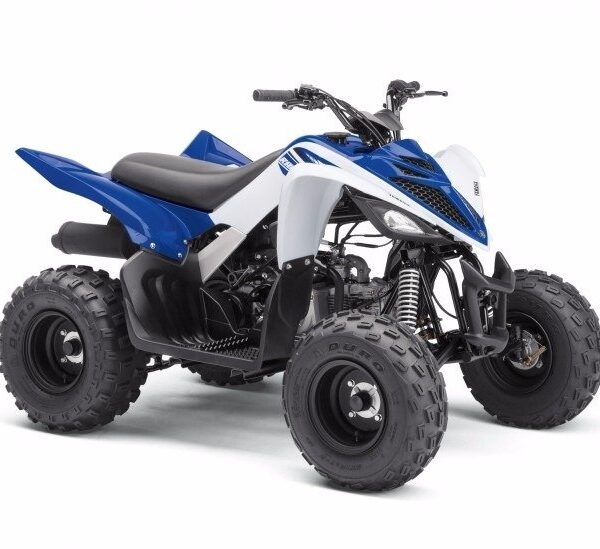 CUATRICICLO RAPTOR 90